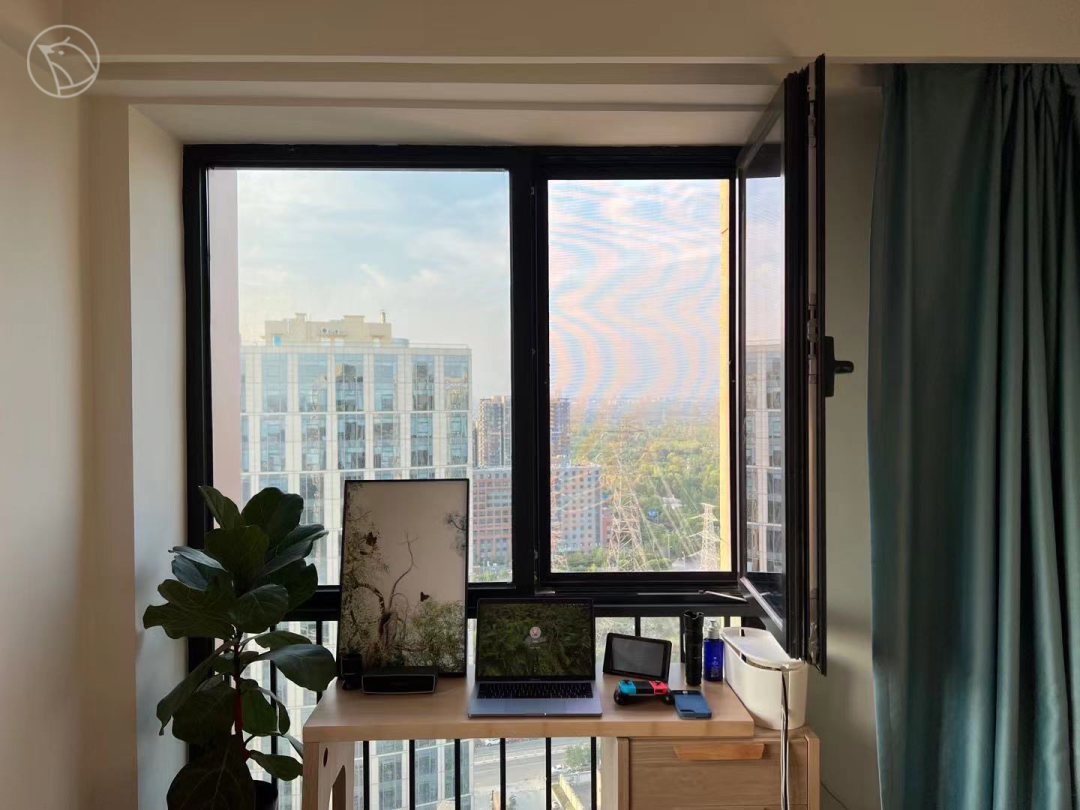 阳台后面,藏着一座城市的秘密