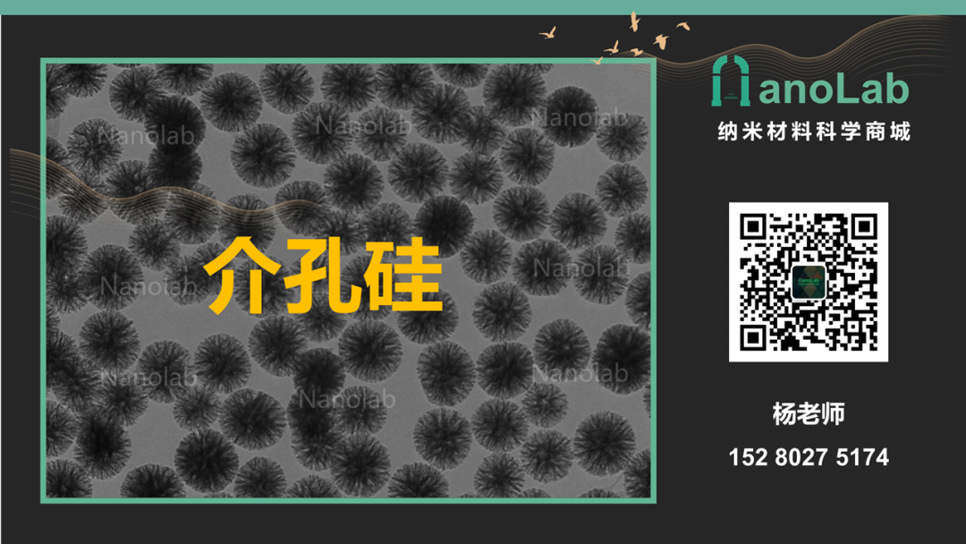 JACS：铁敏感型前药可在耐药胰腺癌细胞中引发活跃的铁死亡