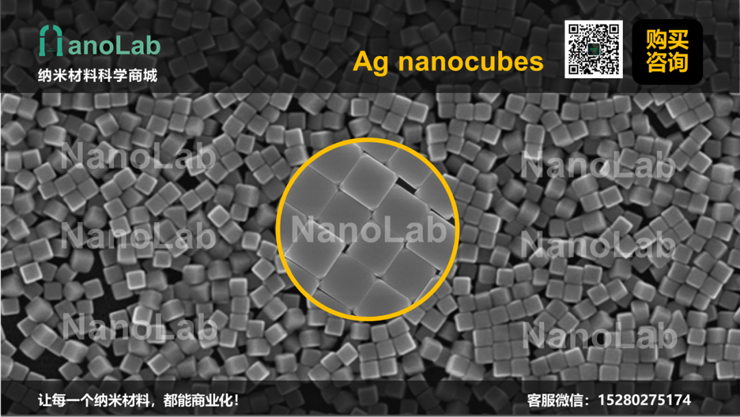 南开大学丁丹angew 组装体用于 冷 肿瘤变 热 全网搜