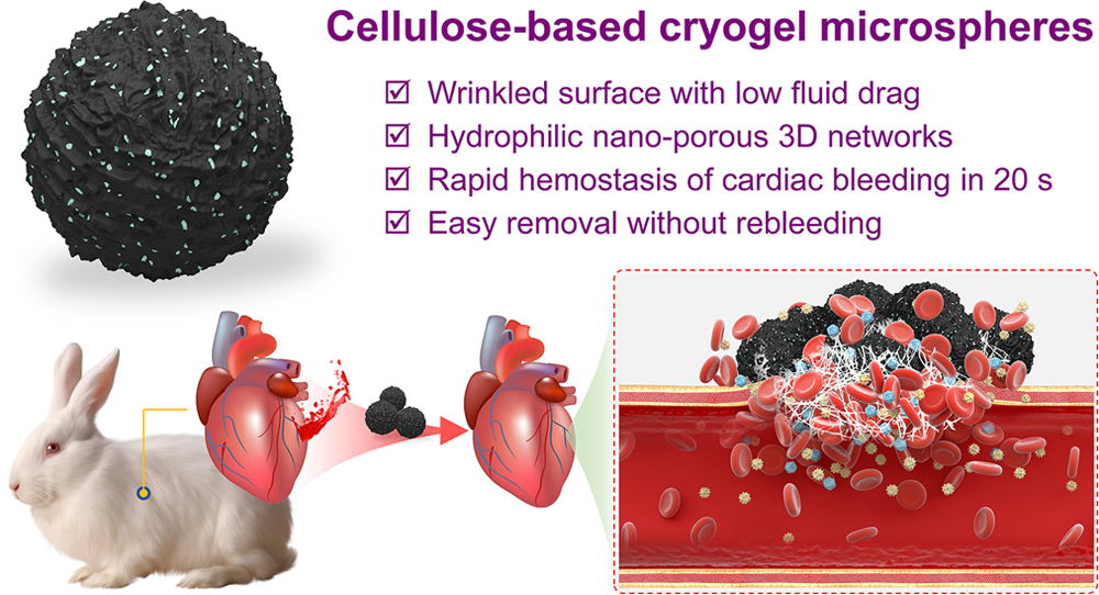 止血微球怎么用Nano. Lett：纤维素基晶胶微球用于快速止血_https://www.jmylbn.com_新闻资讯_第3张