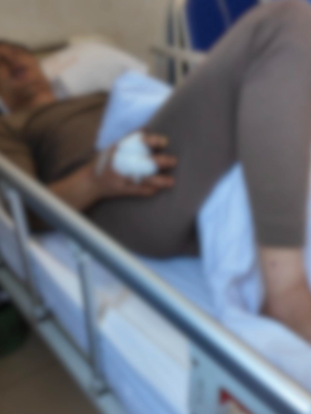 男子采菌遭黑熊一巴掌打下山昏迷