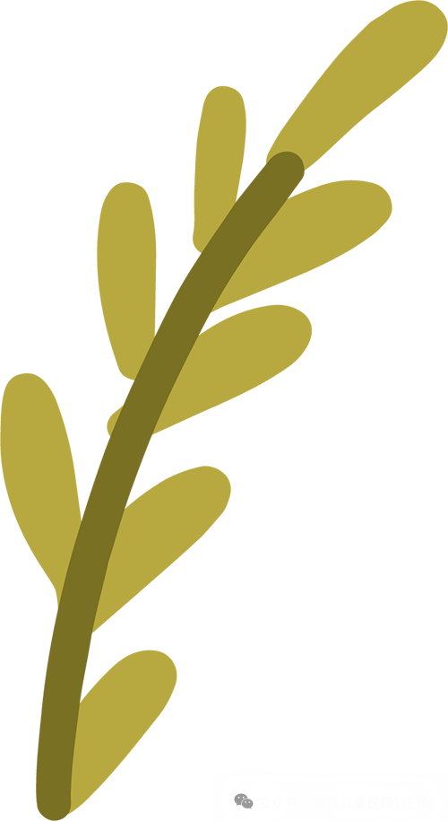 什么叫口腔器械【儿童口腔科普文章】 一起来认识口腔科检查常见器械吧！_https://www.jmylbn.com_新闻资讯_第1张