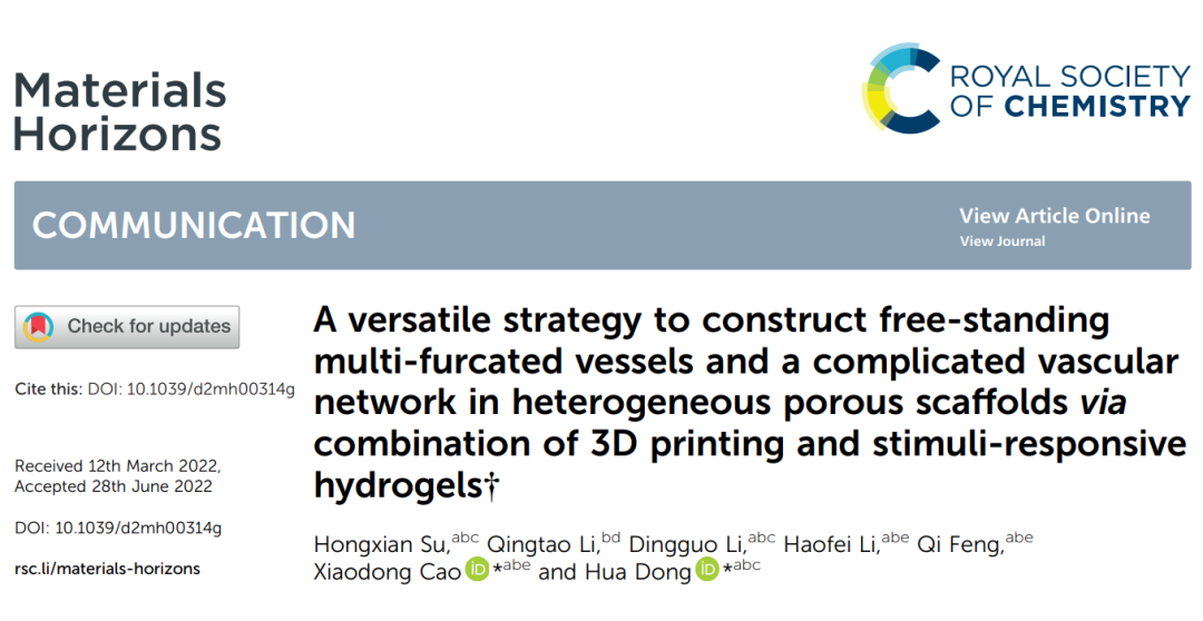 明胶在血管怎么降解华南理工曹晓东&董华 ｜ 联合 3D 打印和刺激响应水凝胶构建复杂多分叉血管网络的通用策略_https://www.jmylbn.com_新闻资讯_第2张