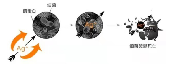 单质银为什么能抗菌银离子杀菌技术详解_https://www.jmylbn.com_新闻资讯_第2张