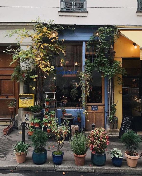 花店装修，这几点你一定得知道！