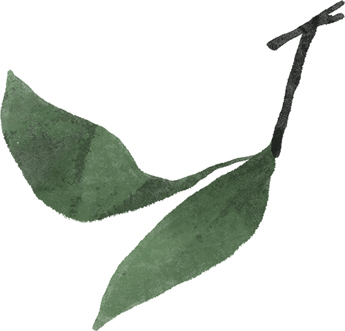 《浪浪山小妖怪》式留学：在打怪升级里，走出自己的 “取经路”