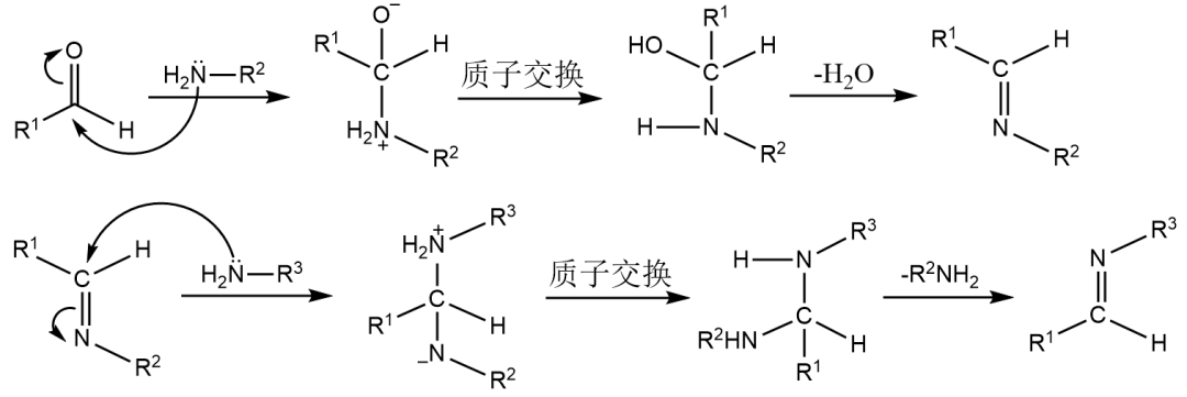 水凝胶伤口敷料怎么用伤口愈合，水凝胶来帮你_https://www.jmylbn.com_新闻资讯_第16张