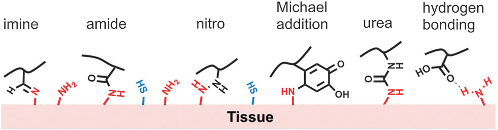 水凝胶伤口敷料怎么用伤口愈合，水凝胶来帮你_https://www.jmylbn.com_新闻资讯_第11张