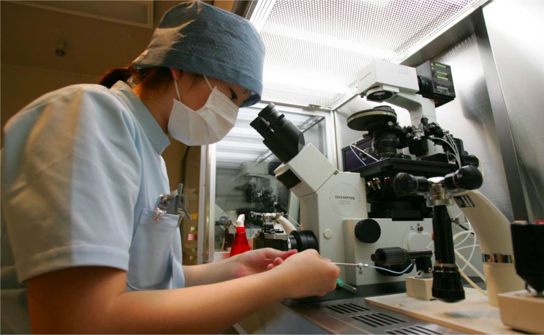养囊三天和五天的区别_养囊三天看卵子五天看精子_养囊三天成功率多少