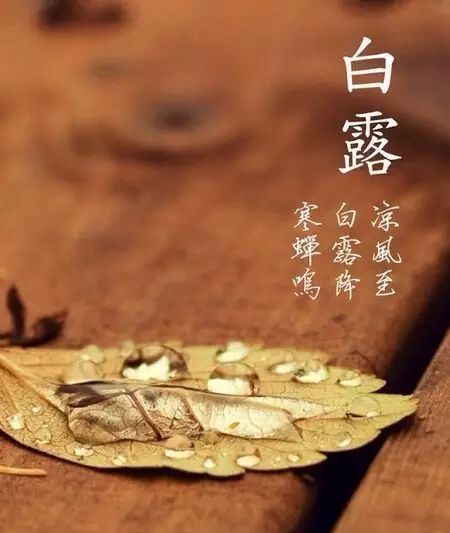 白露時節，如何喝茶養生？ 健康 第19張