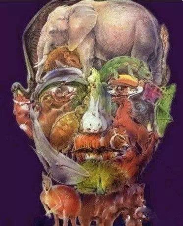 10张诡异的图片据说智商非常高的人才能看懂