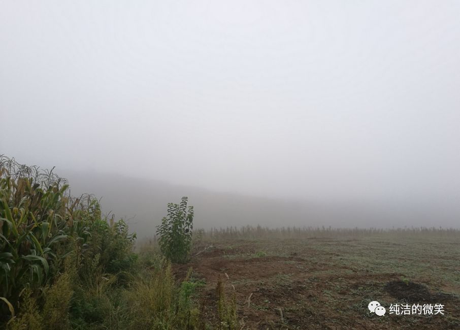 640?wx_fmt=png&tp=webp&wxfrom=5&wx_lazy=1&wx_co=1