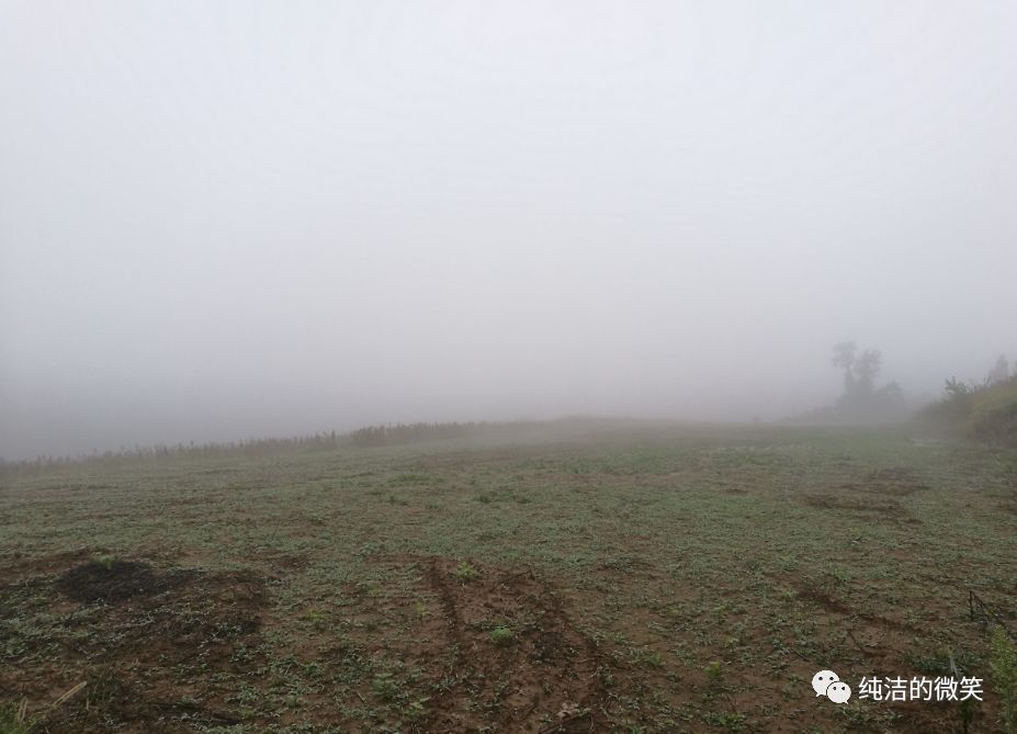 640?wx_fmt=png&tp=webp&wxfrom=5&wx_lazy=1&wx_co=1