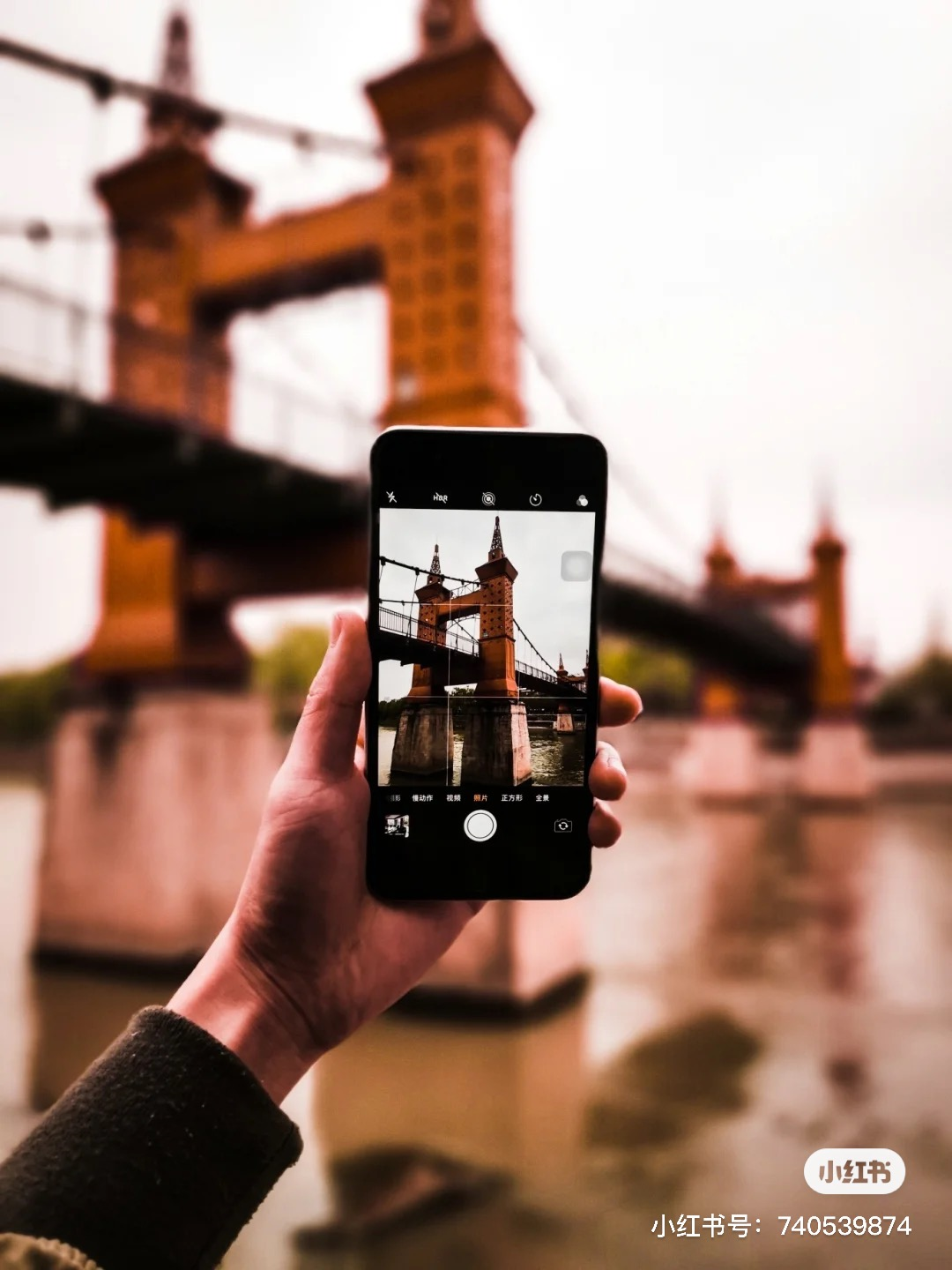 『成都全搜索新闻网』还在打卡五岔子大桥？成都这些桥梁也很美