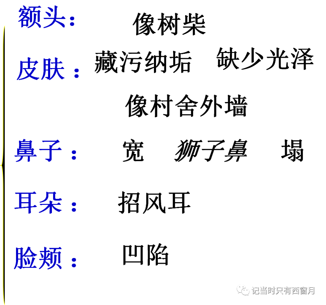 八上第二单元教学手记 列夫 托尔斯泰 记当时只有西窗月 微信公众号文章阅读 Wemp