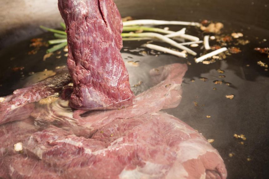 养肉食狗_肉食动物_肉食男