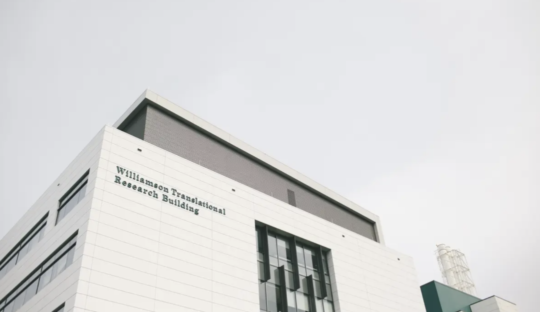 学校资讯