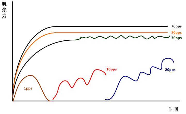 中频为什么能镇痛【干货】中频电疗(Medium Frequency)_https://www.jmylbn.com_新闻资讯_第7张