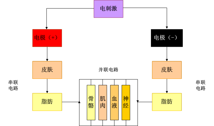 中频为什么能镇痛【干货】中频电疗(Medium Frequency)_https://www.jmylbn.com_新闻资讯_第3张