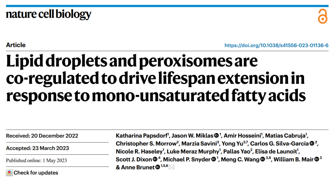 怎么提高氧饱和65NCB ｜ 单不饱和脂肪酸通过脂滴与过氧化物酶体延长寿命_https://www.jmylbn.com_新闻资讯_第2张
