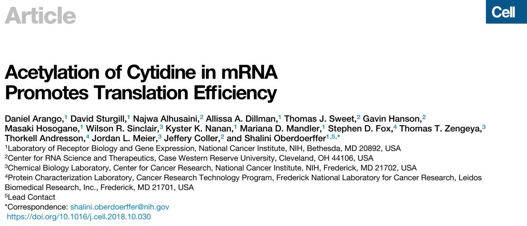 专家解读Cell丨mRNA乙酰化修饰的重要发现与生物学意义图