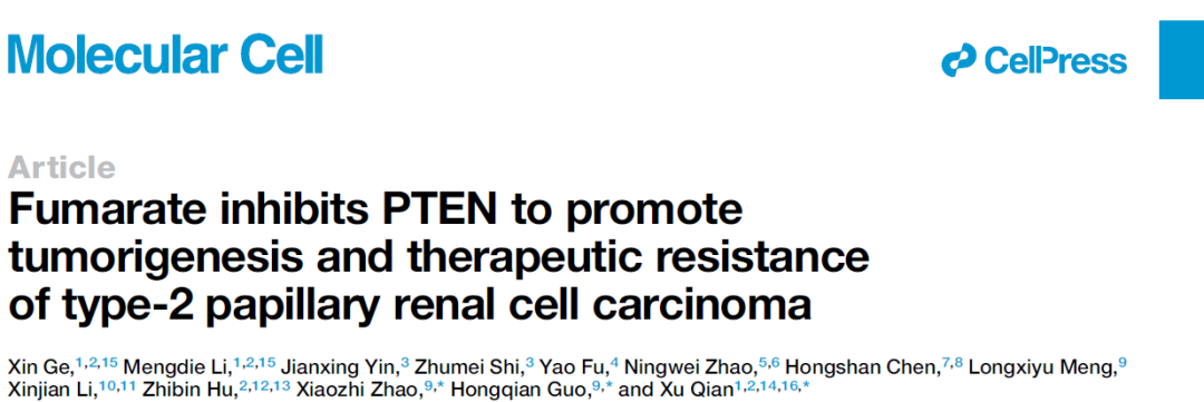 fh失活突變導致的fumarate累積是prcc2的典型分子病理特徵.