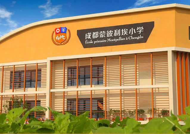 成都国际公立小学2019年最新划片你关注的楼盘在片区里吗