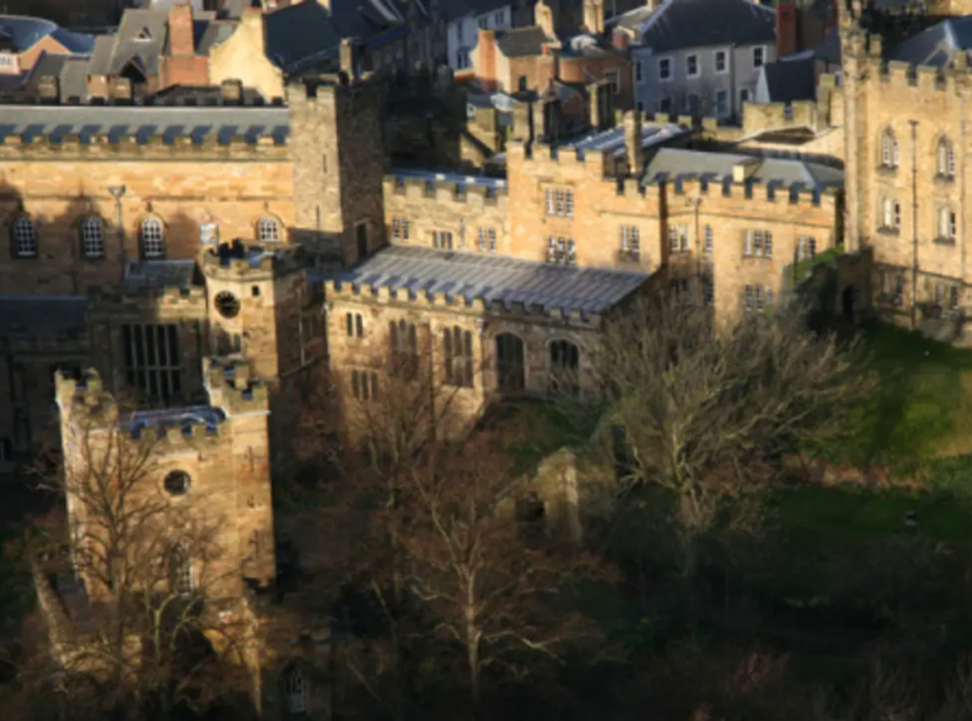 英媒：英国名校大学课程培养学生成为性工作者（图） - 9