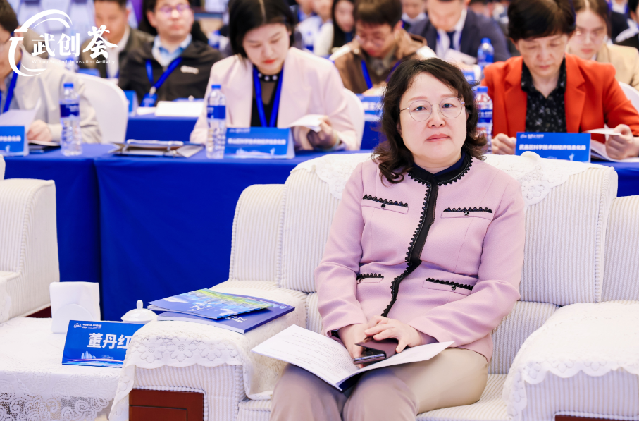 2024“武创荟”•双谷联动汽车产业创新发展对接活动成功举行！