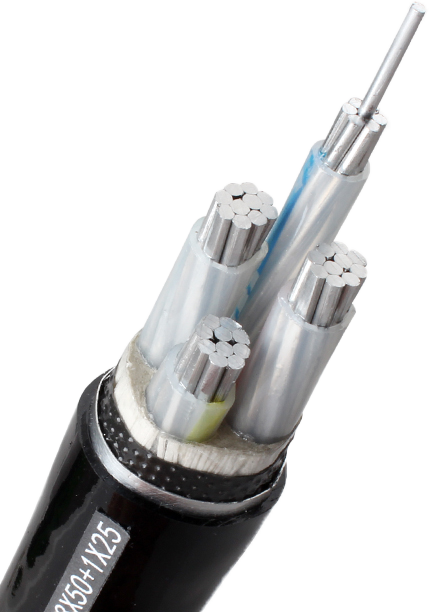 协会为理事单位-武汉朝日电气设备有限公司授牌