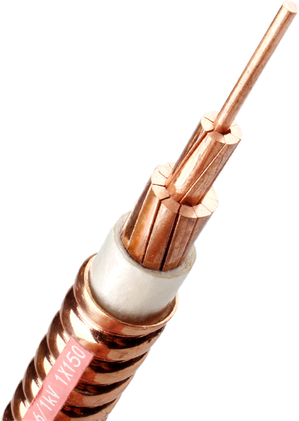 协会为理事单位-武汉朝日电气设备有限公司授牌