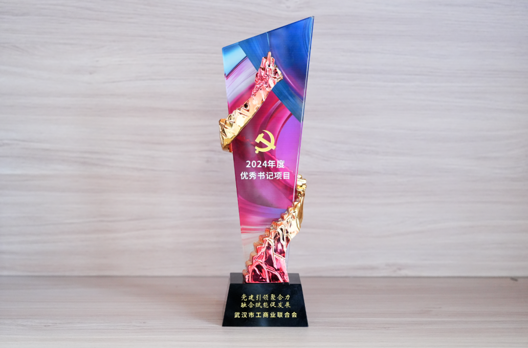 协会荣获“优秀党组织书记项目”荣誉称号