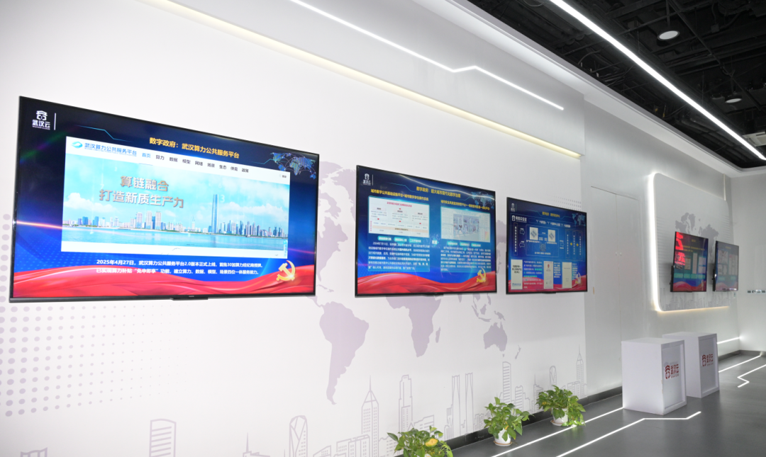 协会为副会长单位-武汉云计算科技有限公司授牌