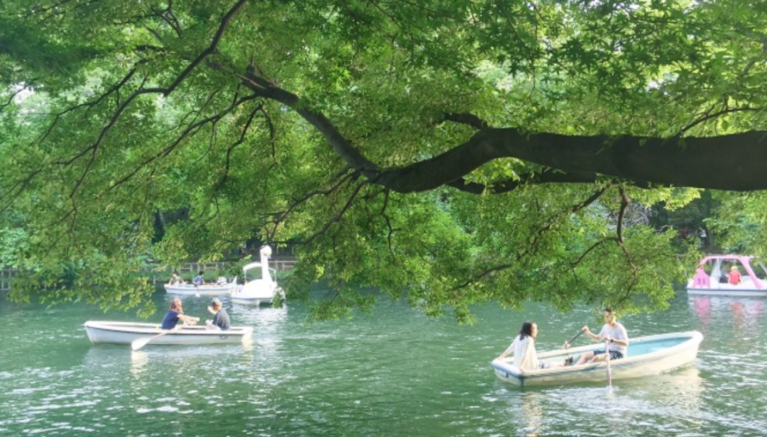 在如何玩得更小众这件事上 Airbnb确实很有用 嬉游 微信公众号文章阅读 Wemp