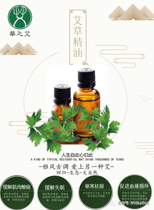 艾草精油使用方法，你会用吗？