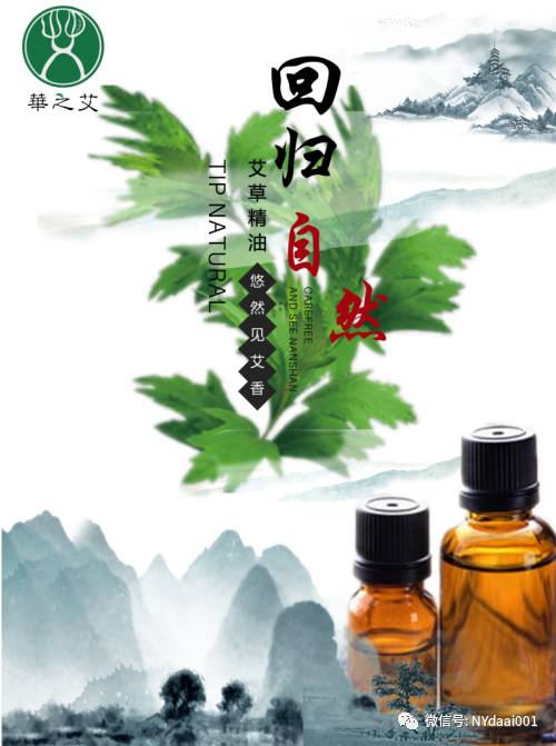 艾草精油使用方法，你会用吗？