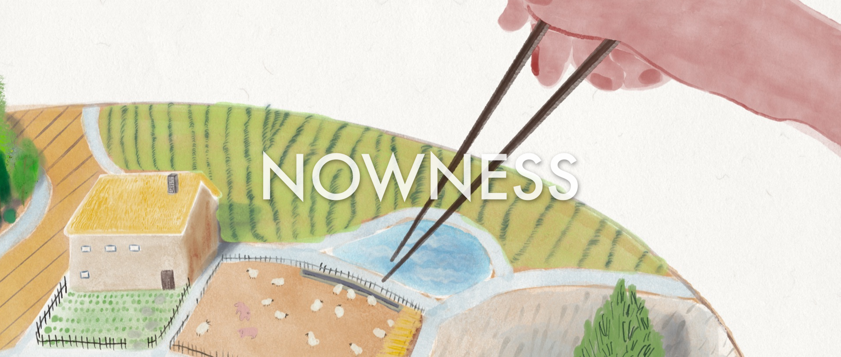 来自英国吃货扶霞·邓洛普的四菜一汤