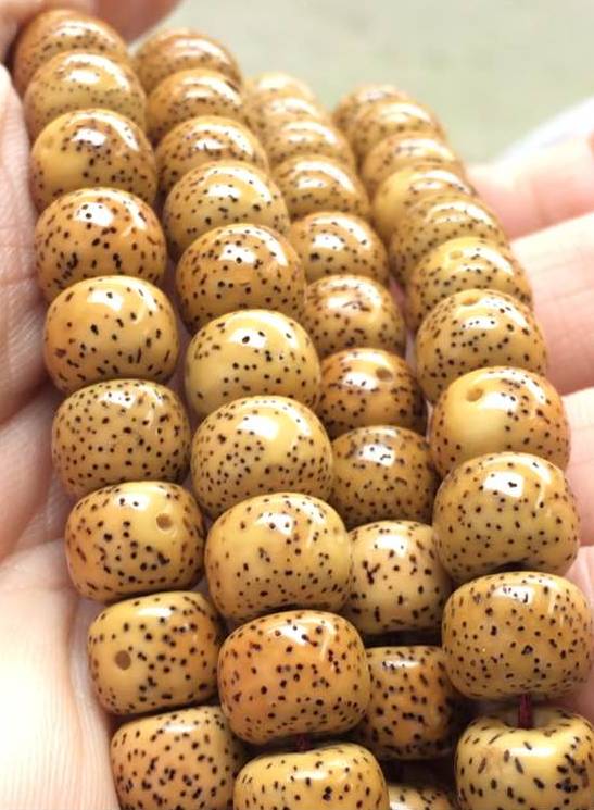 星月菩提盘玩变红了，大神告诉你盘红秘诀！