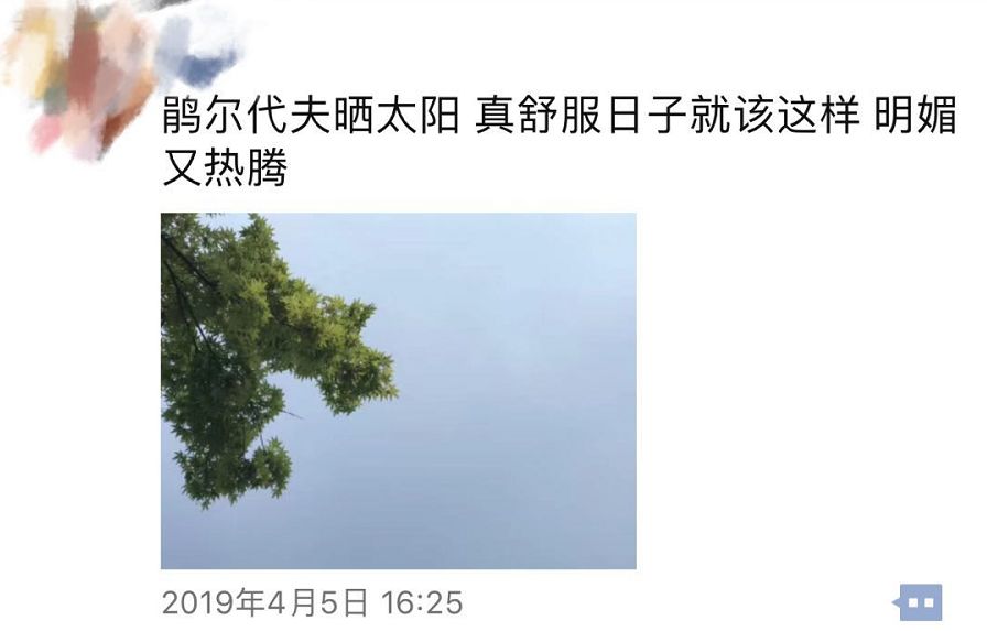 刷爆朋友圈！海寧「鵑爾代夫」火了！更期待的是馬上還將有一片... 旅遊 第6張