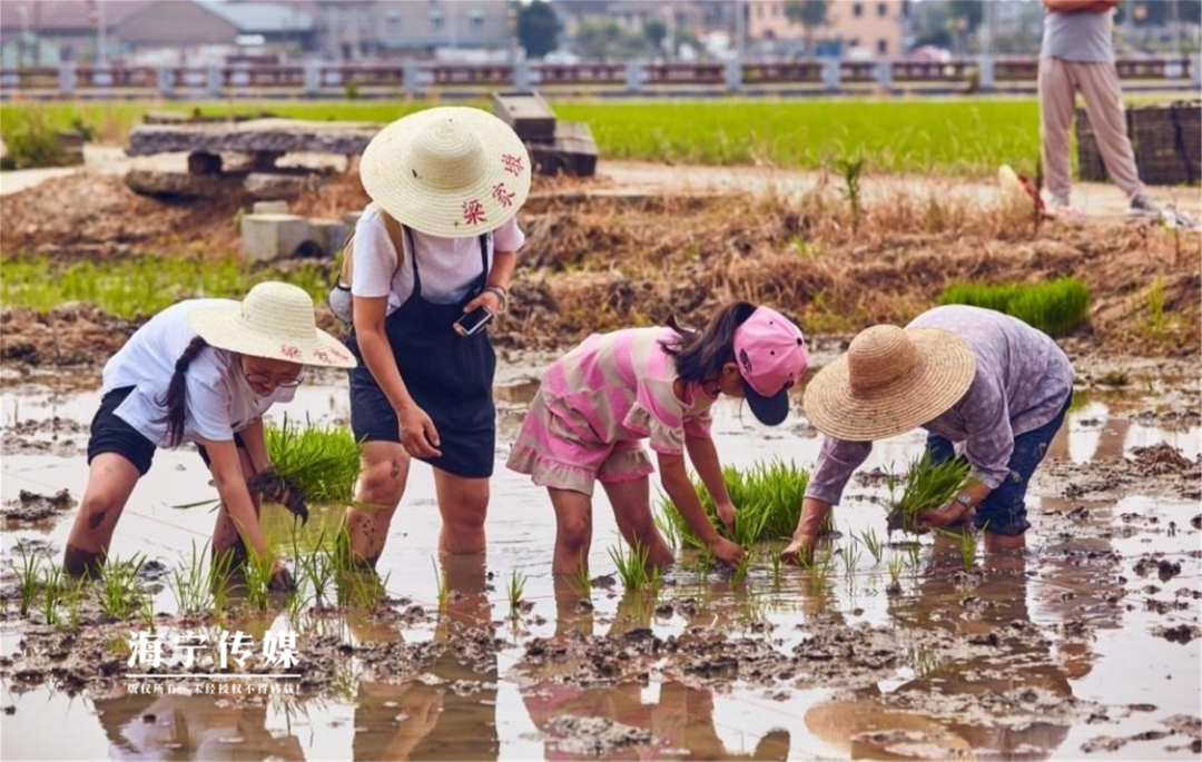 公布了，海寧這個村成全國重點，嘉興唯一 旅遊 第13張