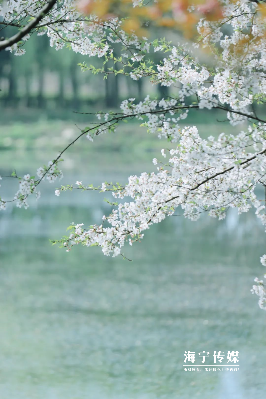 君妹妹時尚服裝（君君女裝）