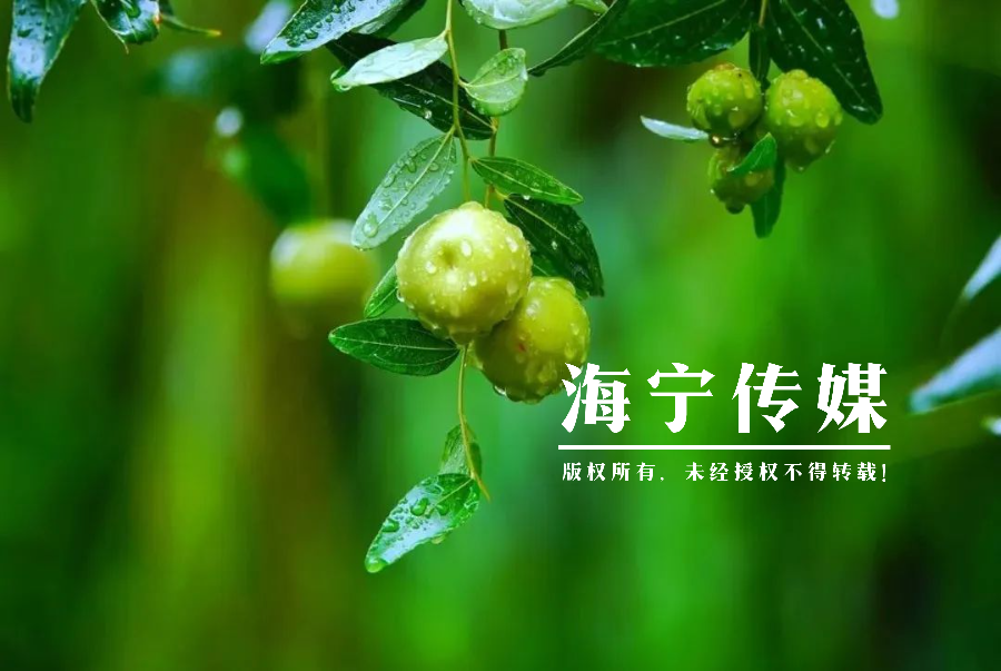 全球米蘭時尚服裝（震撼全球的米蘭時裝周）