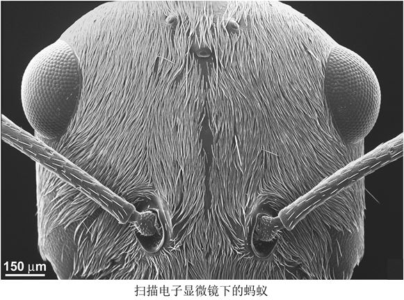 淺談膜厚測試與金屬元素分析