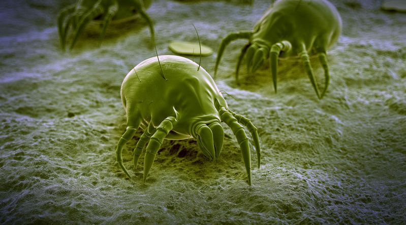 妈呀每天睡的床也太脏了