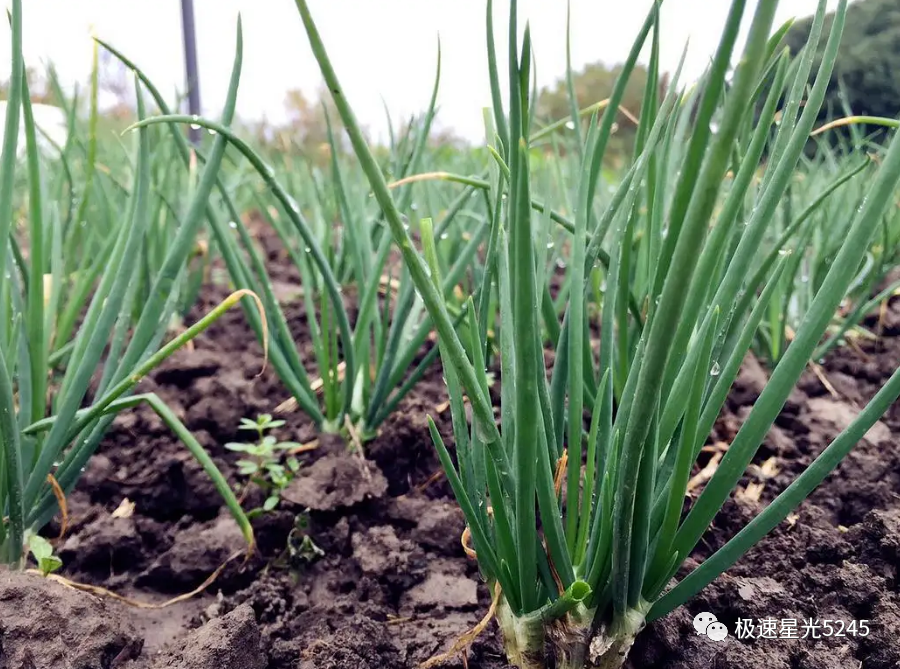 为什么会用一次性导尿包何种情况下需要导尿？留置疼，拔管痛！竹海无痛导尿包带来不一样的临床体验_https://www.jmylbn.com_新闻资讯_第1张