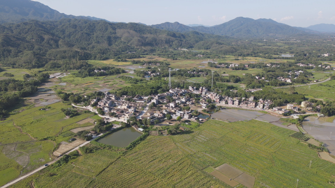 塘口镇塘湾村三处获评"阳江市红色革命遗址" -阳西县人民政府网站