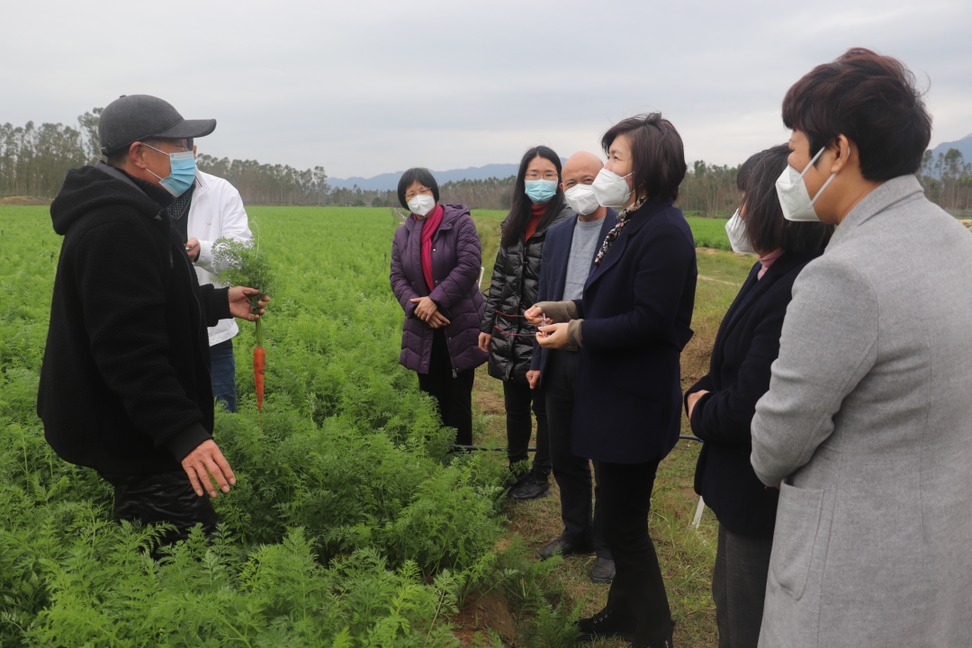 陽西新聞>1月16日,縣婦聯主要領導陪同市婦聯一行到鄉村振興掛點鎮溪