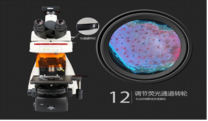 生物实验安全与防护虚拟仿真综合实验(图5) 生物实验安全与防护虚拟仿真综合实验(图5)