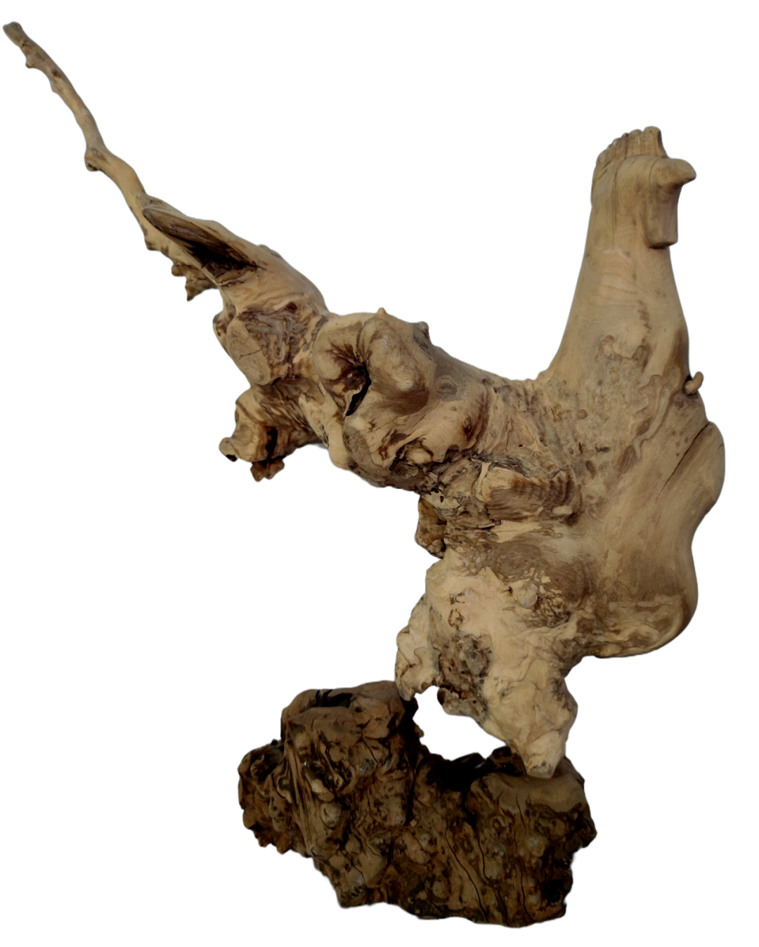 立秋·根雕:一场关于时间,自然与美的盛宴