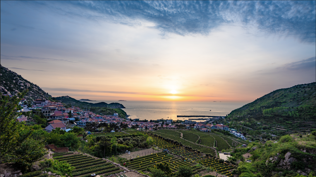 喜报!山海小城王哥庄青山村入选2023青岛100个网红打卡地!